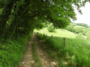 GO ON A WALKING TRIP TO SANTIAGO DE COMPOSTELA ON THE CAMINO NORTE.