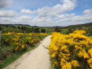 The Camino Norte for hikes along the Atlantic coast.