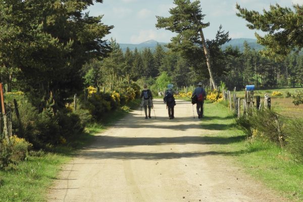 randonneurs-3-en-chemins